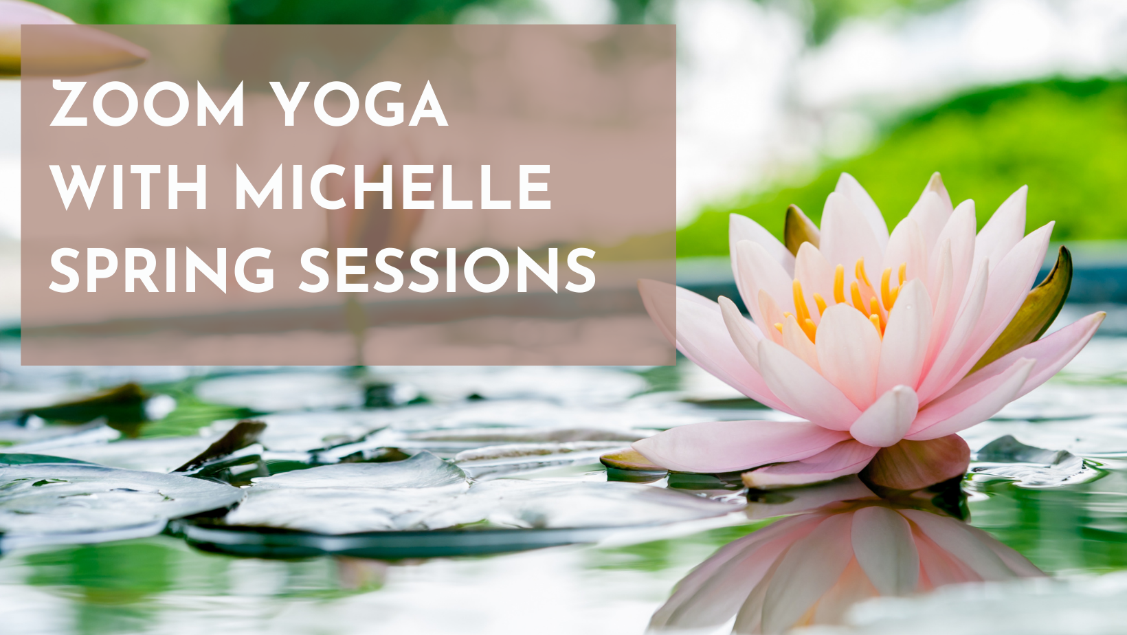 Michelle spring biography image