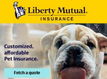 Liberty Mutual