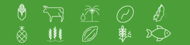 Food & Agricultural Commodity Systems Community logo