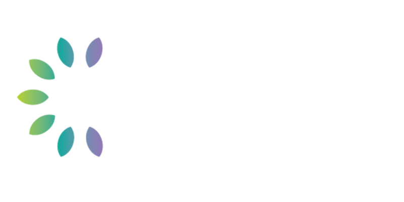 ChIPs Network logo
