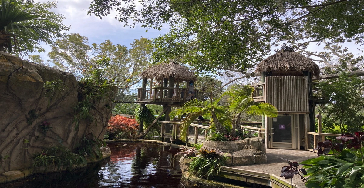 Marie Selby Botanical Gardens Tour | MIT Alumni Association