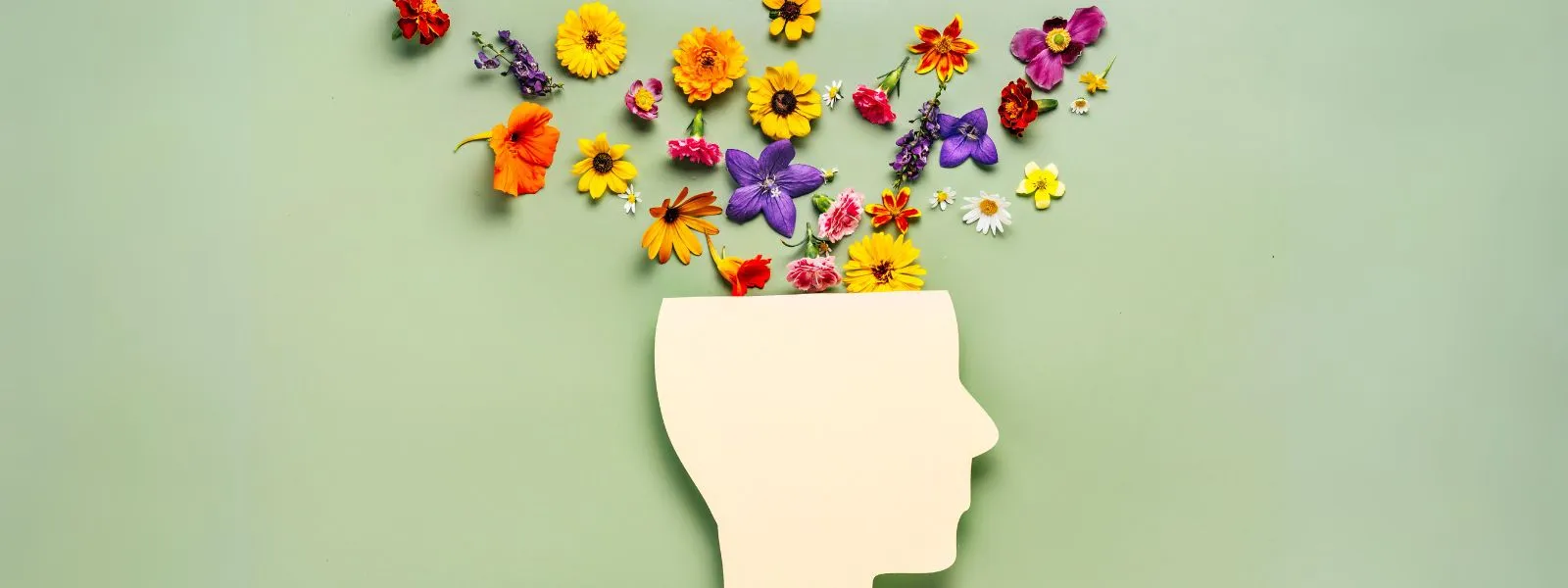 compressed-cbee5fb3b8640324ea3a974c30e8e3cf-webp