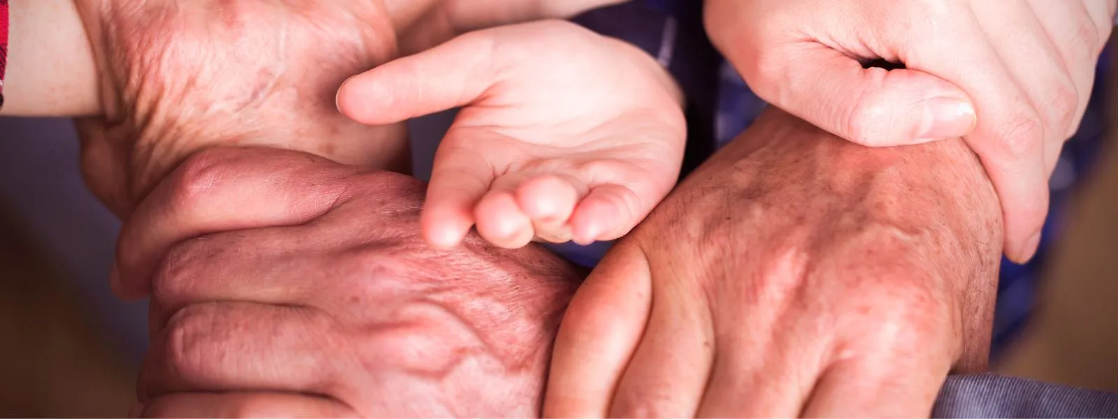 compressed-c9a7bf46e3f3b9604d679b9508204974-webp