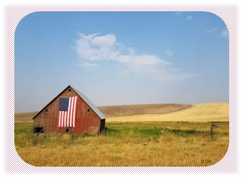 A photo of a barn in a field with a large American flag