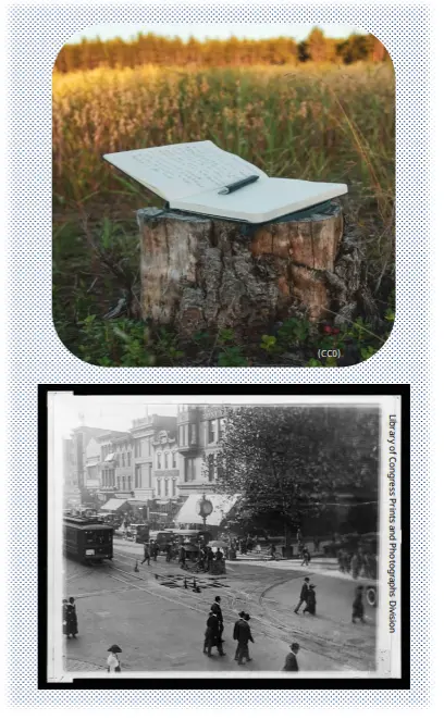 Two photos: A notebook open on a tree stump in a field; a black and white photo of a busy Washington, DC street in early 1900s