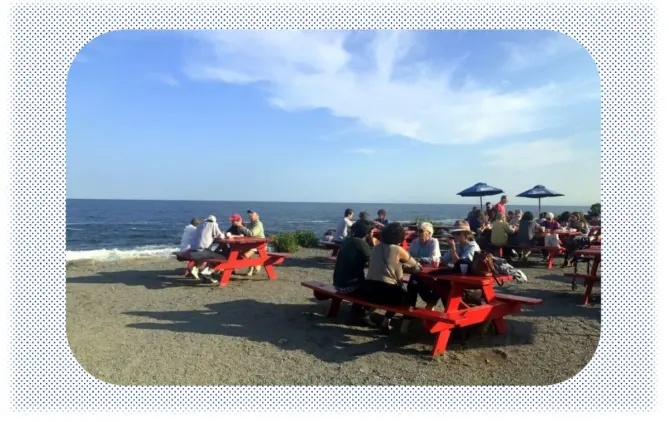 Photo of several outdoor tables next to the ocean. People sit in groups eating lunch in the sunshine.