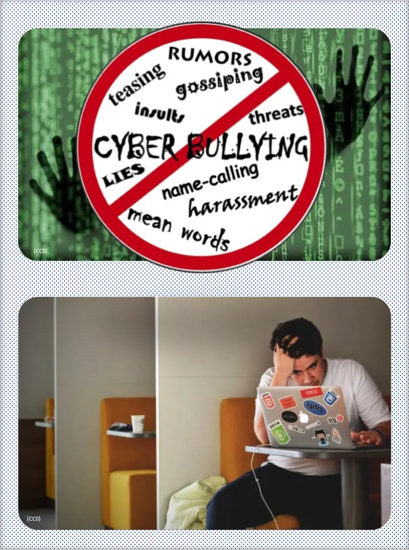 A vertical montage shows two images. The top image shows a wall of green code with a no symbol covering several bullying-related words, like teasing, gossiping, name-calling, lies, and rumors. The bottom image shows a man with an exasperated expression on his face as he looks at his laptop.