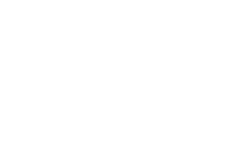 Accelerate Auto Insiders Hub logo
