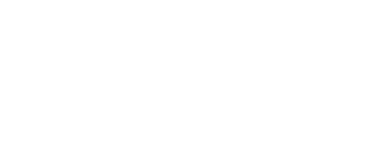 Community Leaders Institute logo