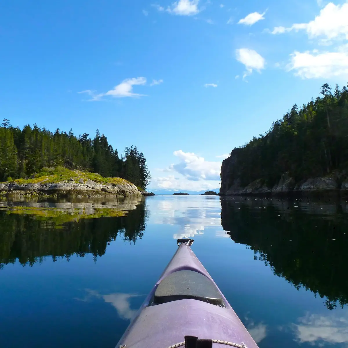 Natural Wisdom: A Retreat at Channel Rock | Synergos Network Platform