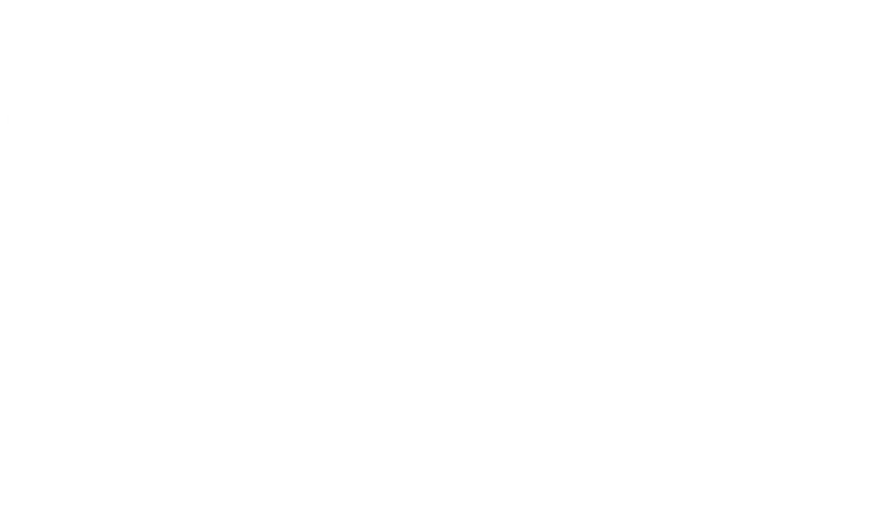 The Voice Director logo