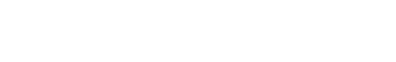 Cyversity logo