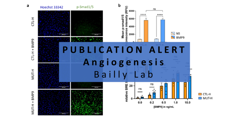Impact of heterozygous ALK1 mutations on the transcriptomic response to ...