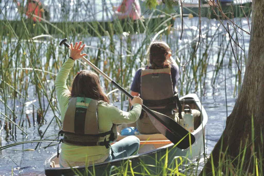 Two women paddling in a canoe on a lake through aquatic grasses.