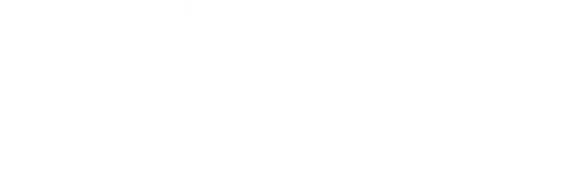 My NEXT Raise logo