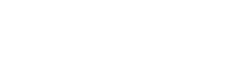 My NEXT Raise logo