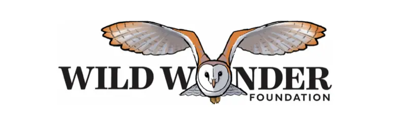 Wonderland logo