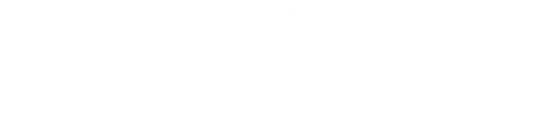 French-American Chamber of Commerce New York logo