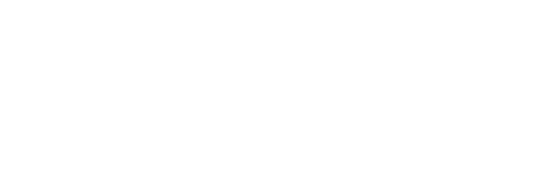 Women's Democracy Lab Community logo