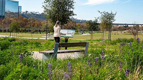 SDSU Mission Valley river park