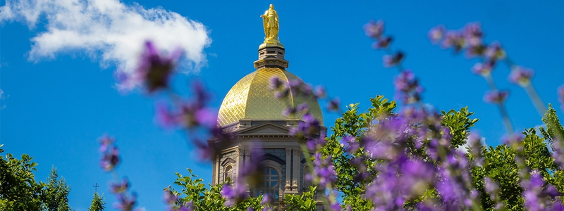 Letter from the Executive Director: July 23, 2026
