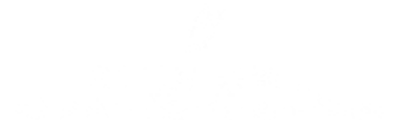 BSP Partner Community logo