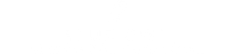 BSP Partner Community logo