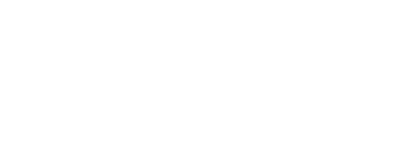 BSP Partner Community logo