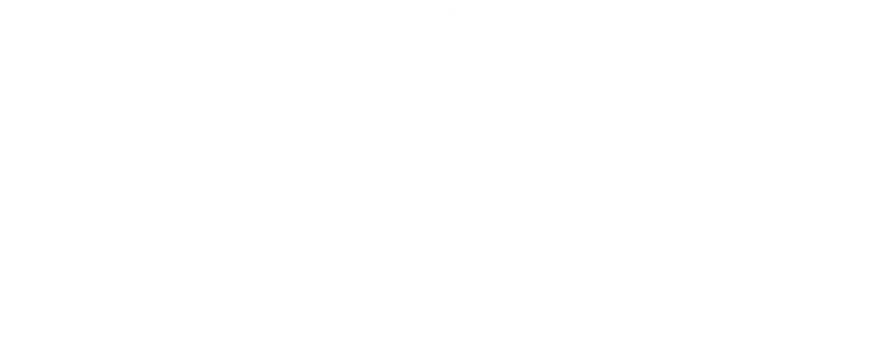 BSP Partner Community logo