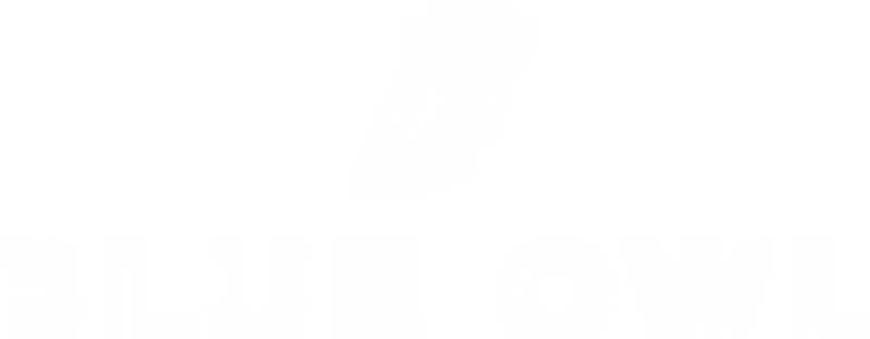 BSP Partner Community logo