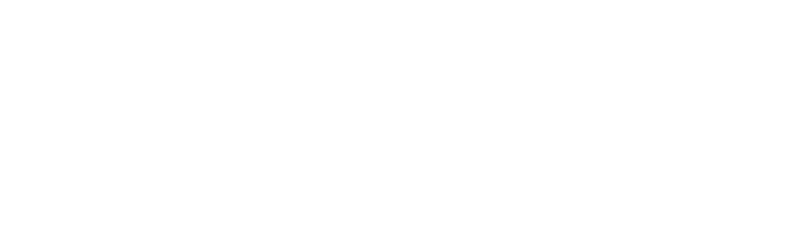 The IIA Connections logo