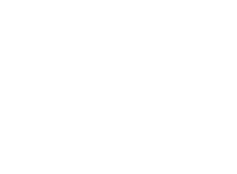 USREISA logo