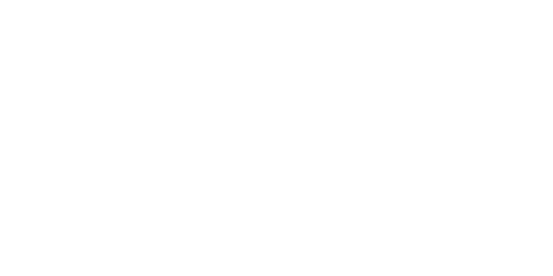 Vital Voices Community Hub logo