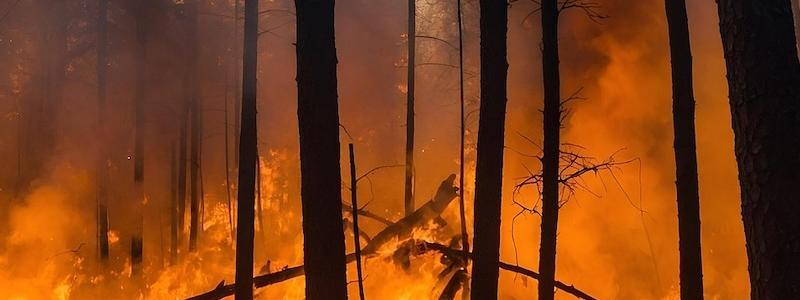 A Veteran Tahltan Wildfire Fighter’s Solution for the Current Megawildfire Crisis