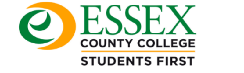 ECC Connect logo