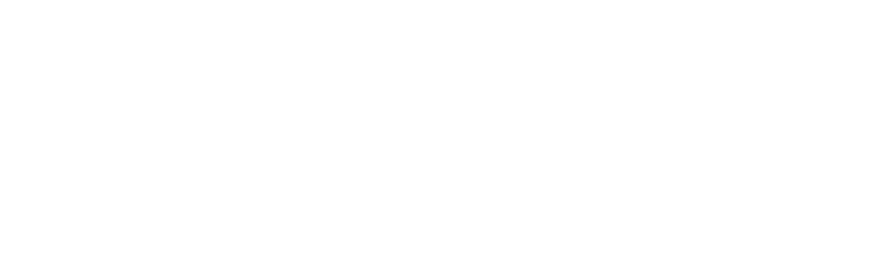 T-CAIREM Hive logo
