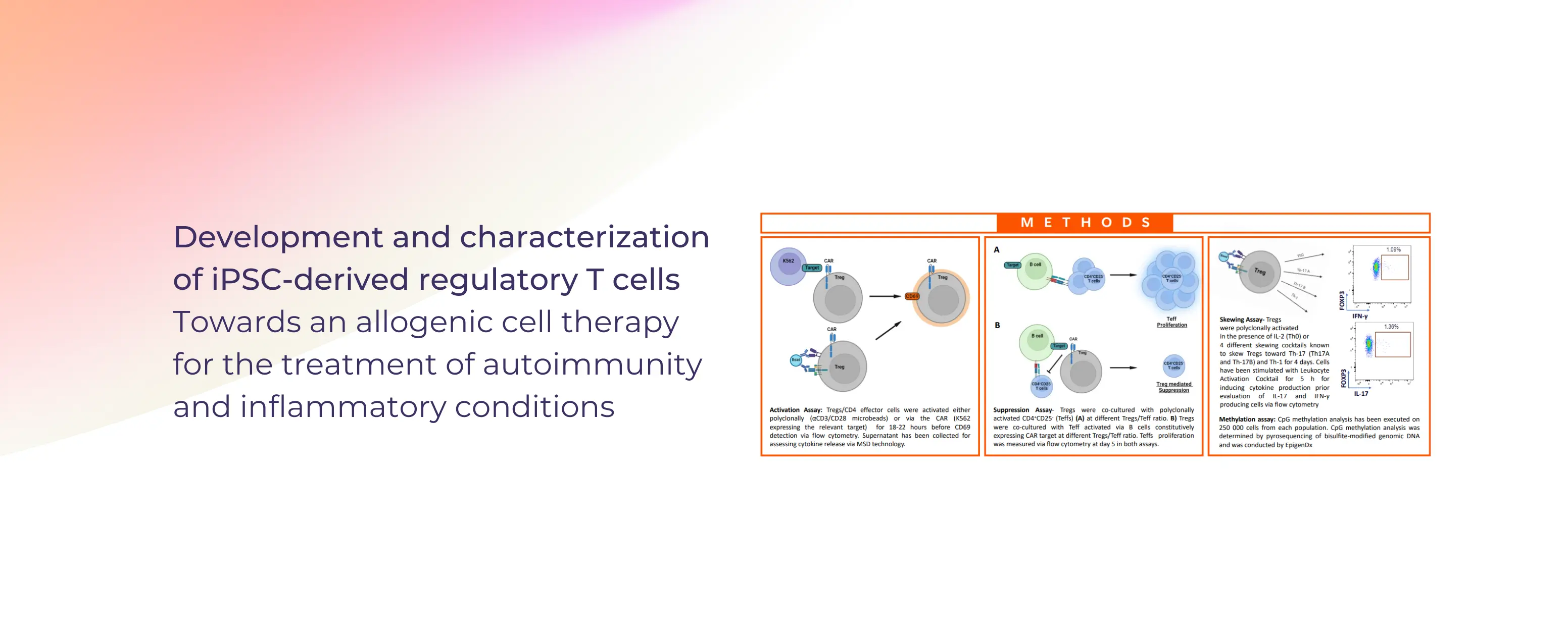 Development and characterization of iPSC-derived regulatory T cells – Towards an allogenic cell therapy for the treatment of autoimmunity and inflammatory conditions